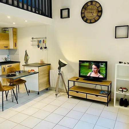 Domaine Des Pins, Magasins Proches, Piscine Holiday home *